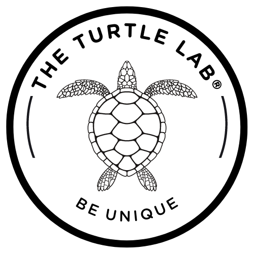 https://alamedamarket.pt/wp-content/uploads/2023/12/Turtle-Lab.png